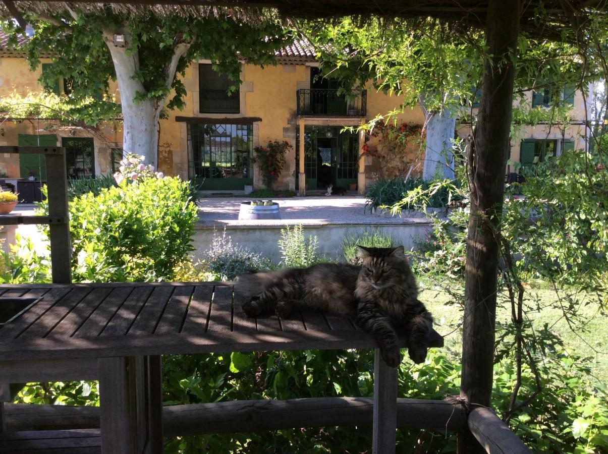 Bed and Breakfast La Bergerie De Castellan Verquieres Екстер'єр фото