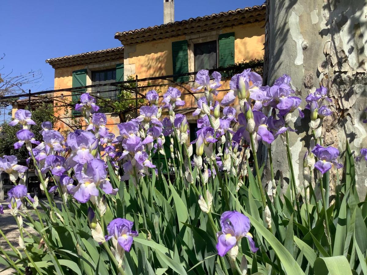 Bed and Breakfast La Bergerie De Castellan Verquieres Екстер'єр фото